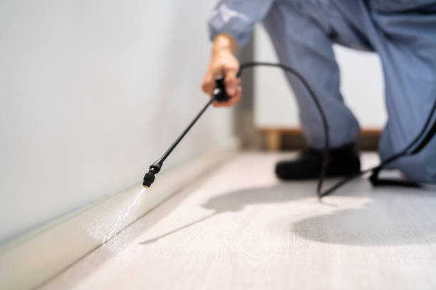 Bed Bug Pre-Treatment Preparation Assessment in Dodge Center