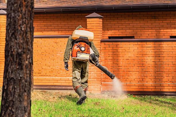 Bed Bug Clearance Verification and Documentation in Dodge Center